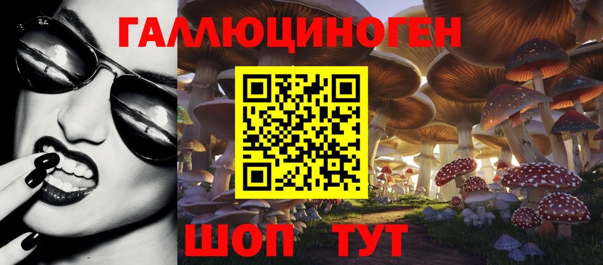 Псилоцибиновые грибы GOLDEN TEACHER  Галлюциногенные грибы мухоморы  Вход с VPN  Унеча 